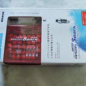 Pivot Spark Raizin type S